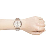  Shop Authentic Tommy Hilfiger Ari Diamonds Silver Dial Rose Gold Steel Strap Watch for Women - 1781978 - Luxxuri