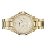  Shop Authentic Fossil Cecile Chronograph Gold Dial Gold Steel Strap Watch for Women - AM4482 - Luxxuri