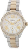  Shop Authentic Fossil Cecile White Dial Two Tone Steel Strap Watch for Women - AM4543 - Luxxuri