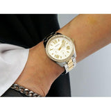  Shop Authentic Fossil Cecile White Dial Two Tone Steel Strap Watch for Women - AM4543 - Luxxuri
