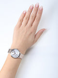  Shop Authentic Emporio Armani Silver Sunray Dial Two Tone Steel Strap Watch For Women - AR11113 - Luxxuri