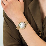  Shop Authentic Emporio Armani Kappa Quartz Mother of Pearl Taupe Dial Brown Leather Strap Watch For Men - AR11151 - Luxxuri