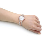  Shop Authentic Emporio Armani Cleo Mother of Pearl Dial Two Tone Steel Strap Watch For Women - AR11499 - Luxxuri