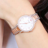  Shop Authentic Emporio Armani Cleo Mother of Pearl Dial Two Tone Steel Strap Watch For Women - AR11499 - Luxxuri