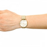  Shop Authentic Emporio Armani Retro Gold Dial Gold Mesh Bracelet Watch For Women - AR1957 - Luxxuri