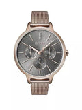  Shop Authentic Hugo Boss Symphony Grey Dial Gold Mesh Bracelet Watch for Women - 1502424 - Luxxuri
