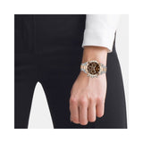  Shop Authentic Hugo Boss Novia Brown Dial Two Tone Steel Strap Watch for Women - 1502617 - Luxxuri