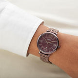  Shop Authentic Fossil Jacqueline Brown Dial Brown Steel Strap Watch for Women - ES4100 - Luxxuri