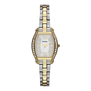  Shop Authentic Fossil Molly Silver Dial Two Tone Steel Strap Watch for Women - ES3287 - Luxxuri
