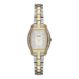  Shop Authentic Fossil Molly Silver Dial Two Tone Steel Strap Watch for Women - ES3287 - Luxxuri