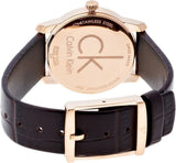  Shop Authentic Calvin Klein City White & Gold Dial Brown Leather Strap Watch For Women - K2G23620 - Luxxuri