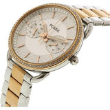  Shop Authentic Fossil Tailor White Dial Two Tone Steel Strap Watch for Women - ES4396 - Luxxuri