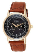 Citizen Eco Drive Multi Function Day & Date Black Dial Brown Leather Strap Watch For Men - AO9003-08E
