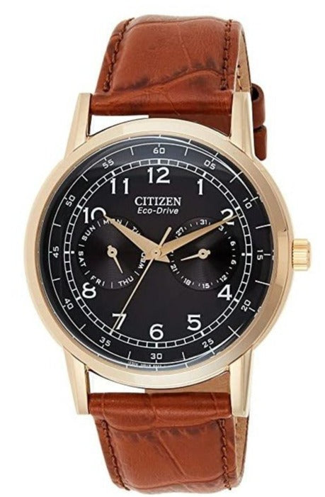  Shop Authentic Citizen Eco Drive Multi Function Day & Date Black Dial Brown Leather Strap Watch For Men - AO9003-08E - Luxxuri