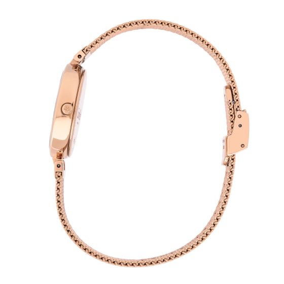  Shop Authentic Calvin Klein Authentic Silver Dial Rose Gold Mesh Bracelet Watch for Women - K8G23626 - Luxxuri