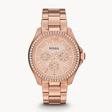  Shop Authentic Fossil Cecile Rose Gold Dial Rose Gold Steel Strap Watch for Women - AM4483 - Luxxuri