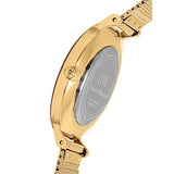  Shop Authentic Daniel Wellington Classic Petite Black Dial Gold Mesh Bracelet Watch For Women - DW00100347 - Luxxuri