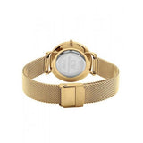  Shop Authentic Daniel Wellington Classic Petite Black Dial Gold Mesh Bracelet Watch For Women - DW00100347 - Luxxuri