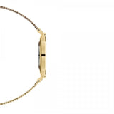  Shop Authentic Daniel Wellington Classic Petite White Dial Gold Mesh Bracelet Watch For Women - DW00100348 - Luxxuri