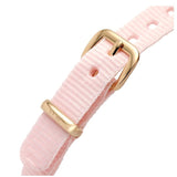  Shop Authentic Daniel Wellington Quadro Pressed Mother of Pearl Pink Dial Pink Nylon Strap Watch For Women - DW00100509 - Luxxuri