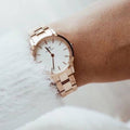  Shop Authentic Daniel Wellington Iconic Link White Dial Rose Gold Steel Strap Watch for Women - DW00100213 - Luxxuri