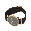  Shop Authentic Daniel Wellington Petite Cornwall Black Dial Black Nylon Strap Watch for Women - DW00100247 - Luxxuri