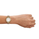  Shop Authentic Emporio Armani Gianni T Bar Crystals Silver Dial Brown Leather Strap Watch For Women - AR11518 - Luxxuri
