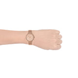  Shop Authentic Fossil Jacqueline Quartz Rose Gold Dial Rose Gold Mesh Strap Watch for Women - ES4628 - Luxxuri