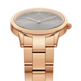  Shop Authentic Daniel Wellington Iconic Link Grey Dial Rose Gold Steel Strap Watch For Women - DW00100332 - Luxxuri
