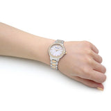  Shop Authentic Emporio Armani Mia Quartz Mother of Pearl Dial Two Tone Steel Strap Watch For Women - AR11524 - Luxxuri