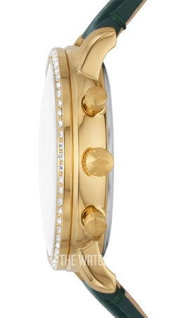  Shop Authentic Fossil Neutra Chronograph Green Dial Green Leather Strap Watch for Women - ES5239 - Luxxuri