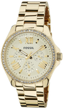  Shop Authentic Fossil Cecile Chronograph Gold Dial Gold Steel Strap Watch for Women - AM4482 - Luxxuri