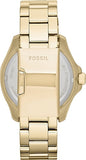  Shop Authentic Fossil Cecile Multifunction Champagne Dial Gold Steel Strap Watch for Women - AM4510 - Luxxuri