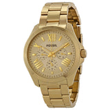  Shop Authentic Fossil Cecile Multifunction Champagne Dial Gold Steel Strap Watch for Women - AM4510 - Luxxuri