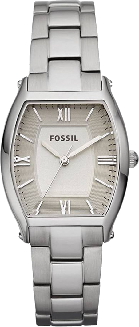  Shop Authentic Fossil Wallace Designer Silver Dial Silver Steel Strap Watch for Women - ES3057 - Luxxuri