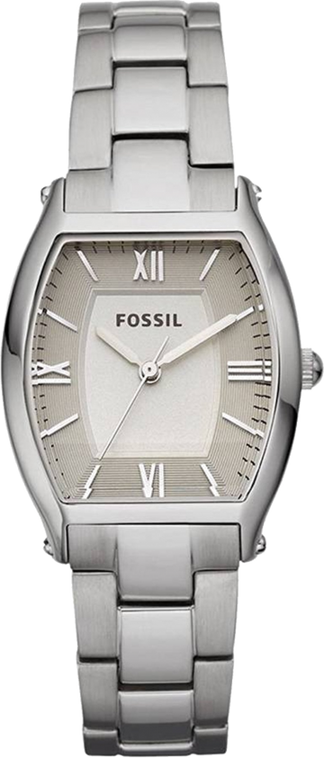  Shop Authentic Fossil Wallace Designer Silver Dial Silver Steel Strap Watch for Women - ES3057 - Luxxuri