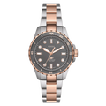 Fossil Blue Dive Three Hand Gray Dial Two Tone Steel Strap Watch For Women - ES5348