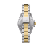  Shop Authentic Fossil Blue Dive Three Hand Black Dial Two Tone Steel Strap Watch For Women - ES5349 - Luxxuri