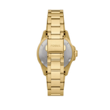  Shop Authentic Fossil Blue Dive Three Hand White Dial Gold Steel Strap Watch For Women - ES5350 - Luxxuri