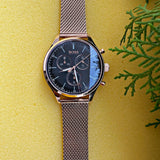  Shop Authentic Hugo Boss Companion Quartz Black Dial Rose Gold Mesh Bracelet Watch For Men - HB1513548 - Luxxuri