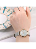  Shop Authentic Emporio Armani Gianni T Bar Mother of Pearl Dial Silver Mesh Bracelet Watch For Women - AR2068 - Luxxuri
