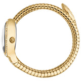 Just Cavalli Carezza Silver Dial Gold Steel Strap Watch for Women - JC1L372M0025