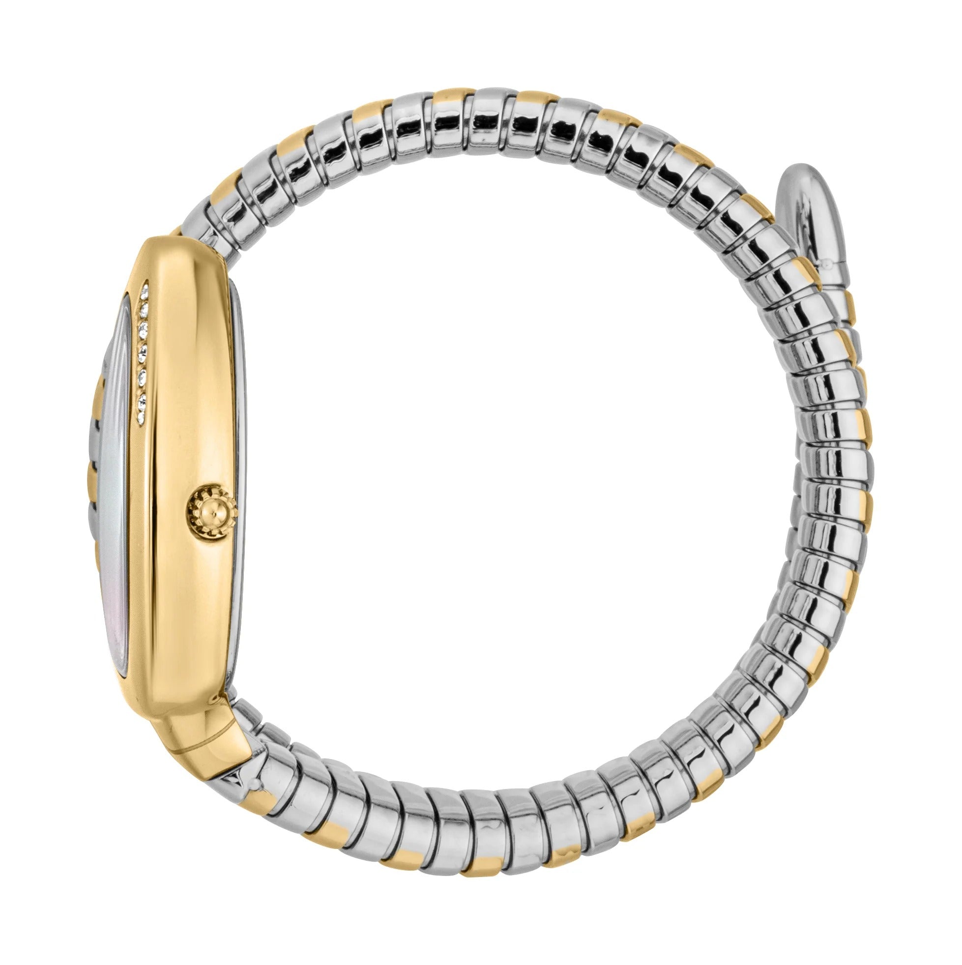 Just Cavalli Glam Evo 5 Mother of Pearl Dial Two Tone Steel Strap Watch for Women - JC1L227M0065