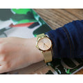  Shop Authentic Calvin Klein Minimal Silver Dial Gold Mesh Bracelet Watch for Women - K3M22526 - Luxxuri