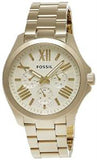 Shop Authentic Fossil Cecile Multifunction Champagne Dial Gold Steel Strap Watch for Women - AM4510 - Luxxuri
