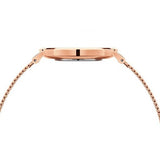  Shop Authentic Daniel Wellington Petite Rose Gold Dial Rose Gold Mesh Bracelet Watch For Women - DW00100470 - Luxxuri