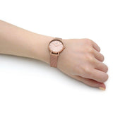  Shop Authentic Daniel Wellington Petite Rose Gold Dial Rose Gold Mesh Bracelet Watch For Women - DW00100471 - Luxxuri