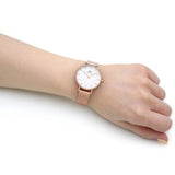  Shop Authentic Daniel Wellington Classic Petite Melrose White Dial Rose Gold Mesh Bracelet Watch For Women - DW00100163 - Luxxuri