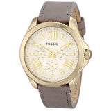  Shop Authentic Fossil Cecile Champagne Dial Grey Leather Strap Watch for Women - AM4529 - Luxxuri