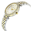 Michael Kors Darci Silver Dial Two Tone Steel Strap Watch for Women - MK3405